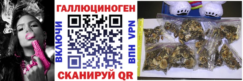 Галлюциногенные грибы Magic Shrooms  Купить  Гвардейск 